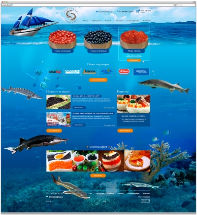 Торговый дом "ДМД"